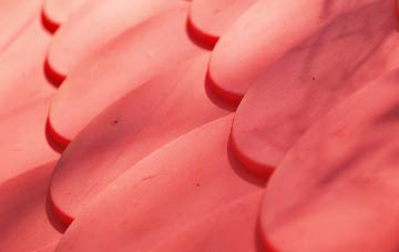 Portpatrick plastic roof costs